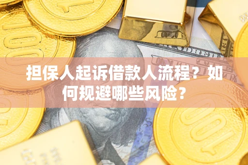 济南担保人起诉借款人流程？如何规避哪些风险？
